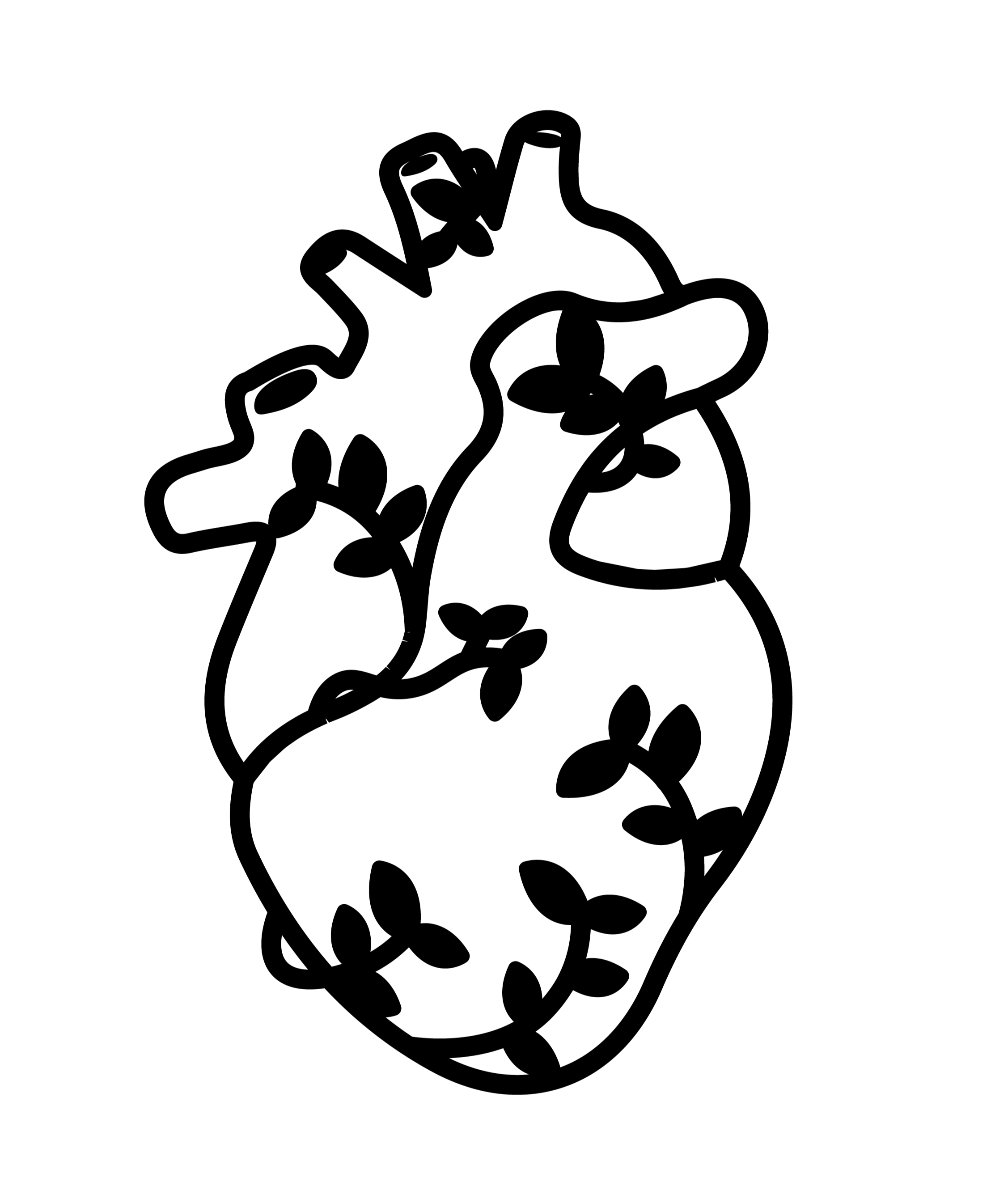 Heko